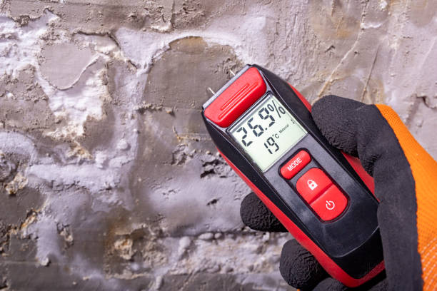 Best Emergency Mold Removal  in Athens, TX