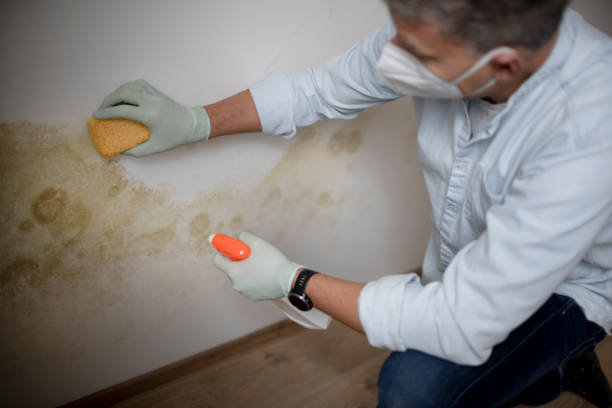 Best Mold Removal Process  in Athens, TX