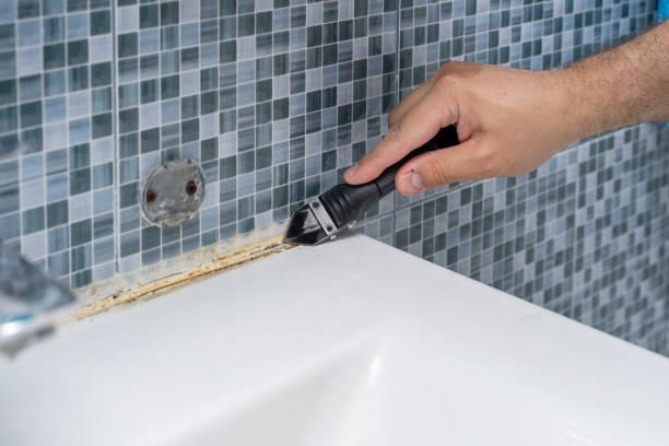 Best Black Mold Removal  in Athens, TX