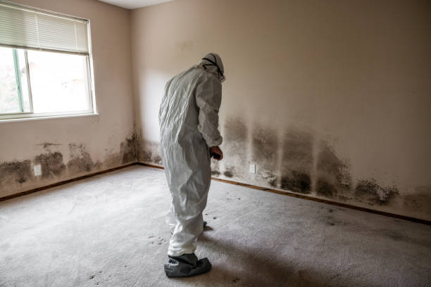 Best Mold Testing  in Athens, TX