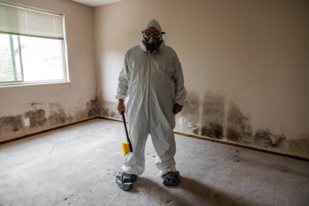 Best Attic Mold Removal  in Athens, TX