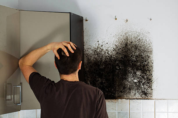 Best Mold Damage Repair  in Athens, TX