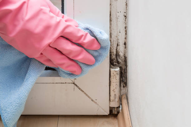 Best Crawl Space Mold Removal  in Athens, TX