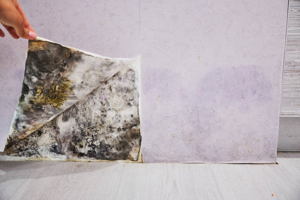 Water Damage Restoration in Athens, TX